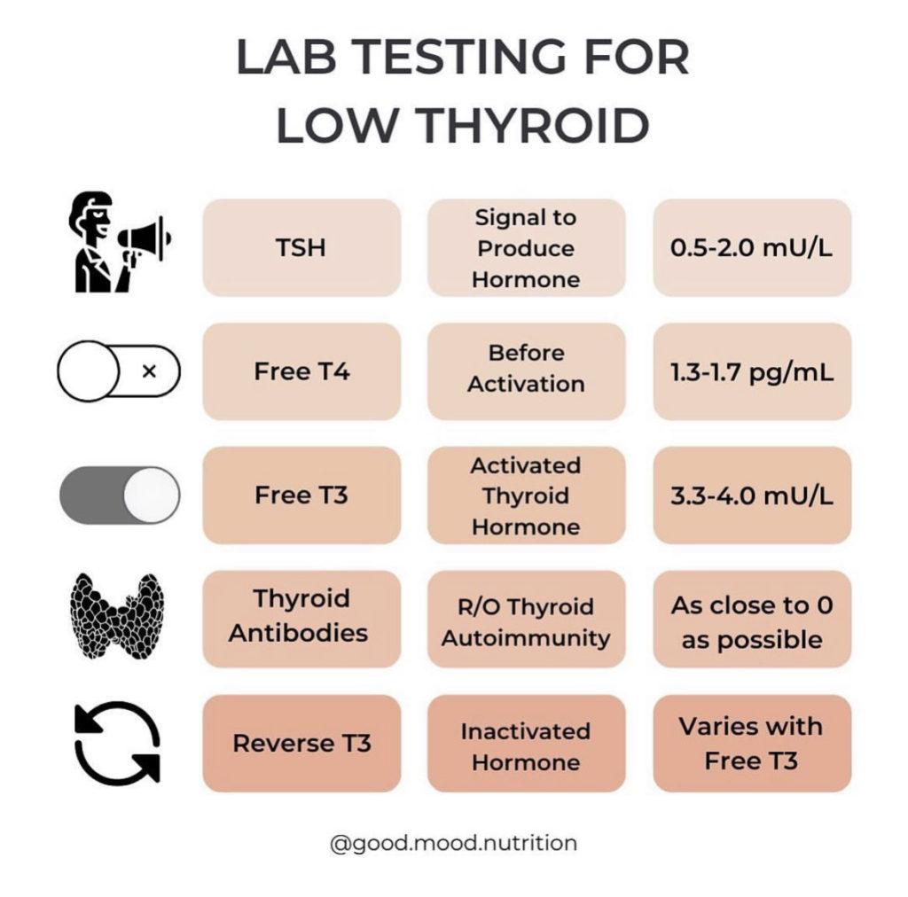 what-happens-when-you-have-thyroid-problems-how-this-hormone-producing